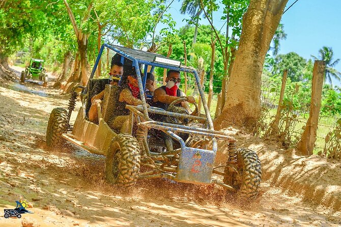 Full-day Buggy & Party Boat tour: snorkel, open bar, cave pool - Key points at a glance