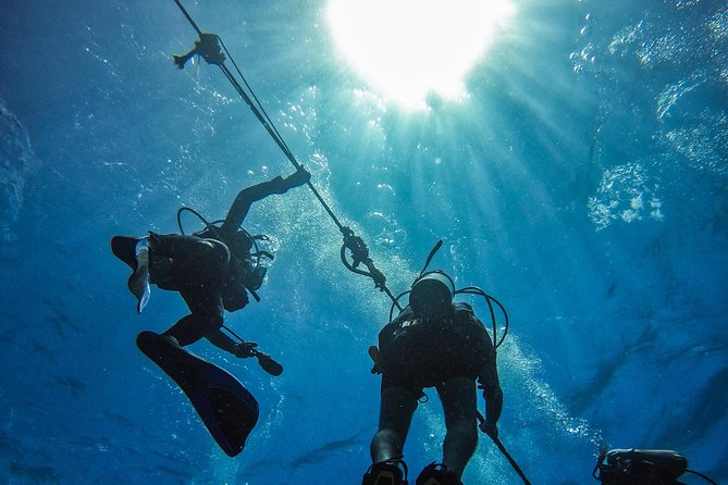 Full-Day Catalina Island Scuba Diving Tour from Punta Cana - The Aquarium, a shallower second stop