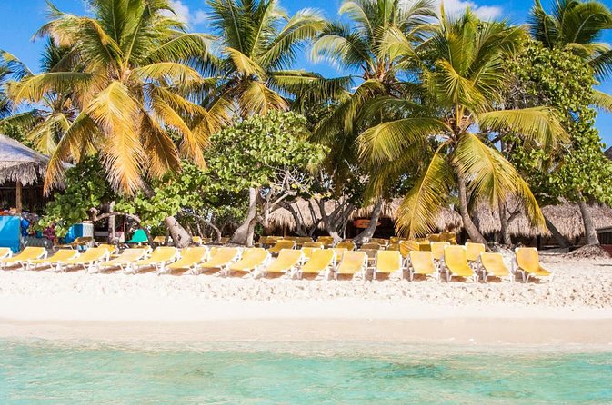 Full-Day Catalina Island Scuba Diving Tour from Punta Cana - Certification, safety, and who can take part