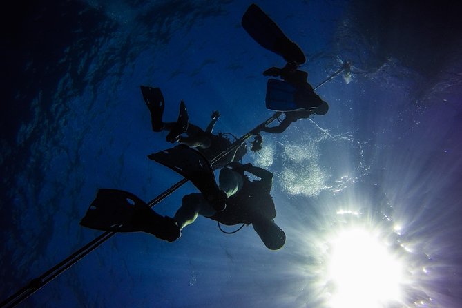 Full-Day Catalina Island Scuba Diving Tour from Punta Cana - Catalina beach time and the Dominican meal