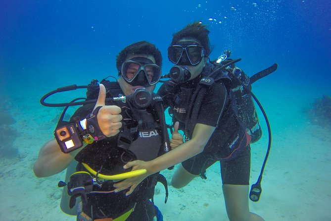 Full-Day Catalina Island Scuba Diving Tour from Punta Cana - The Wall, with depths from 5 to 40 meters