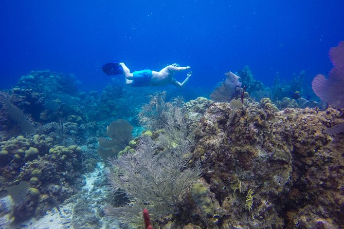 Full-Day Catalina Island Snorkeling Tour from Bavaro - The Dominican BBQ and open bar