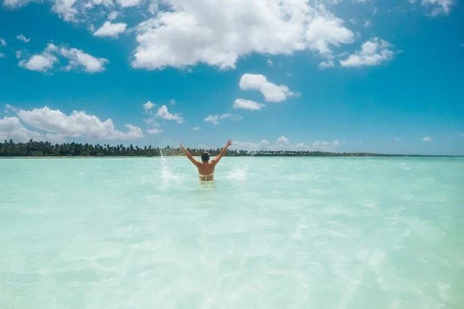 Full-Day Cruise to Saona Island - Natural pool and lunch - Key points before you book