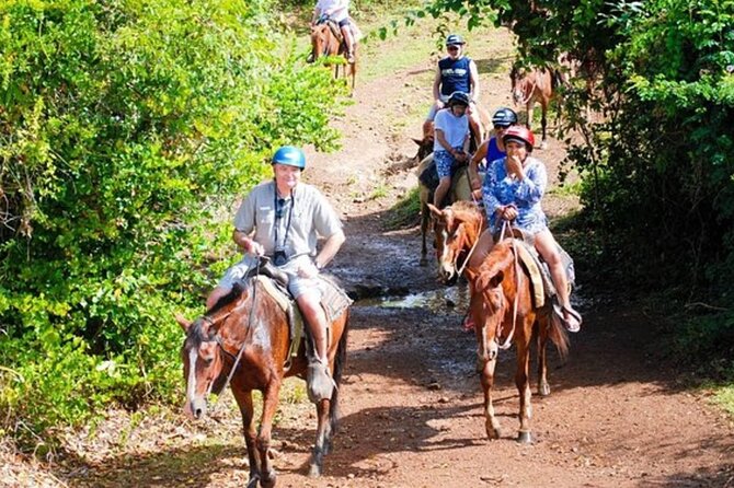 Full Day Eco Safari Adventure and Cultural Tour - Six hours around Anamuya and rural Punta Cana
