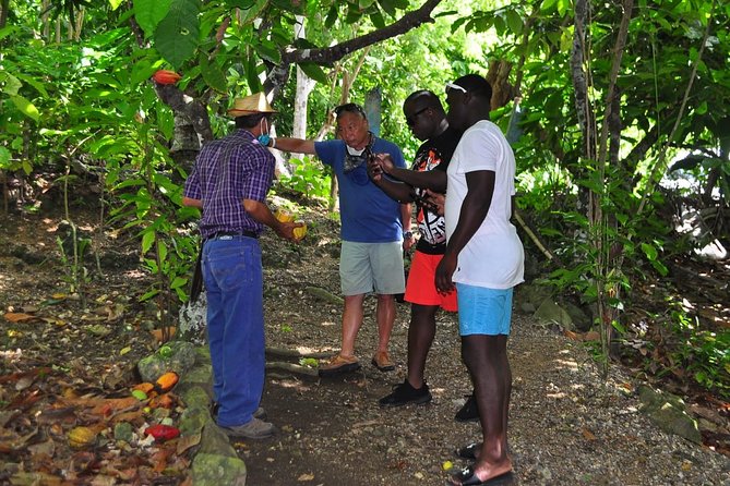 Full Day Eco Safari Adventure and Cultural Tour - Practical advice for a smoother day
