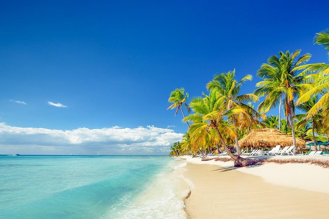 Full-Day Excursion in Saona Island - Saona Island is the reason to go