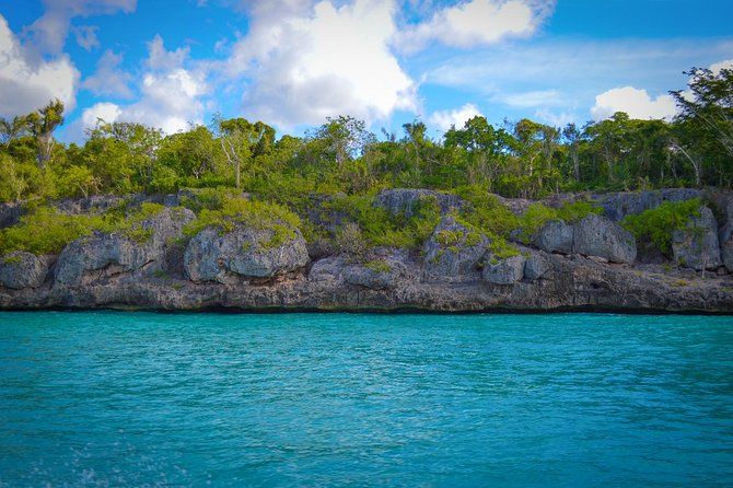 Full-Day Excursion in Saona Island - The buffet lunch and what to expect from the drinks