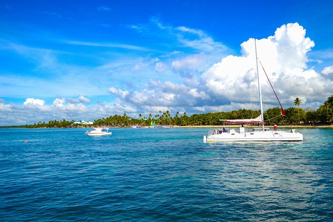 Full-Day Excursion in Saona Island - Transfers back to Punta Cana can stretch the day