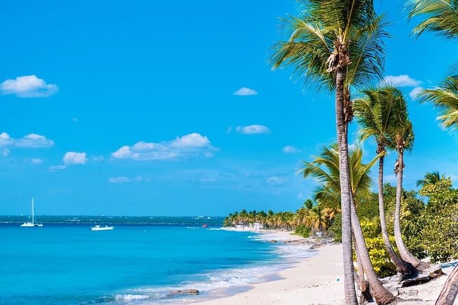 Full Day Excursion to Catalina Island From Bavaro / Punta Cana. - Who will enjoy this Catalina Island day