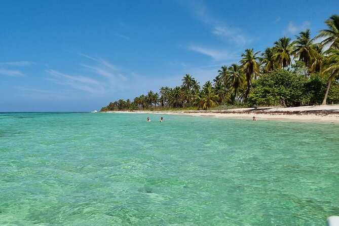 Full Day Island Tour in Isla Saona from Punta Cana - Returning by speedboat