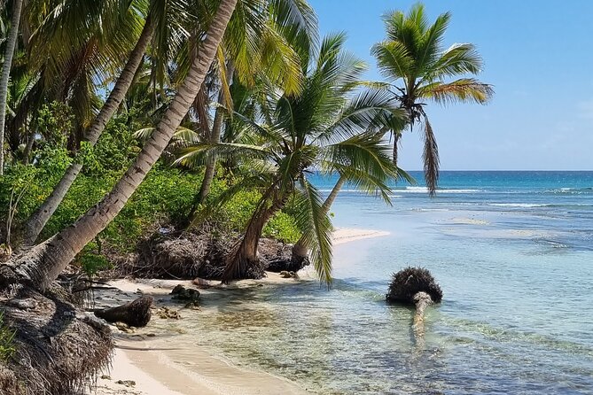 Full Day Island Tour in Isla Saona from Punta Cana - Who will enjoy this island day most?