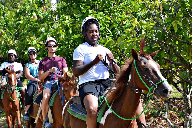 Full-Day La Hacienda Dune Buggy with Zipline & Horseback Activity - Dominican lunch and the cacao and coffee stop