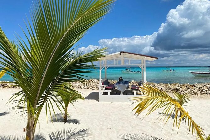 Full Day Private Tour of Bayahibe, Cotubanamá and Saona Island - What the $220 price means