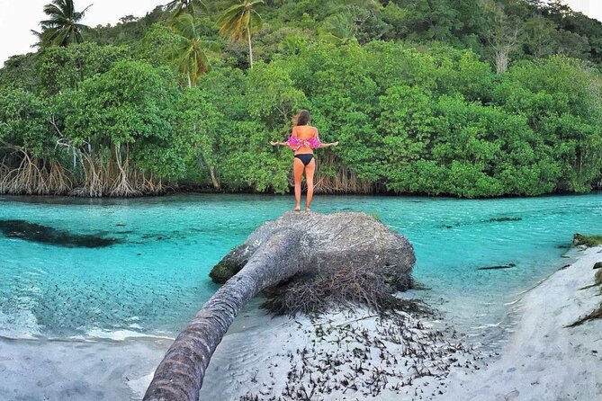 Full Day SAMANA ADVENTURE Tour - Punta Cana - Why Samaná is worth the early start