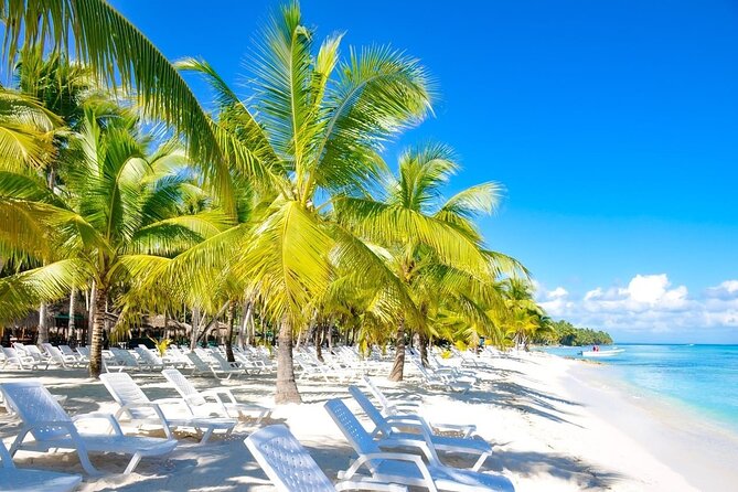 Full-Day Saona Island Escape – Beaches, Adventure, Paradise Vibes - The early morning start from Punta Cana