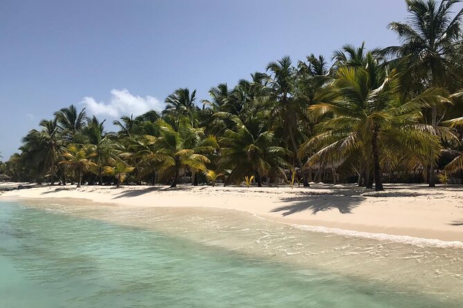 Full-Day Saona Island Escape – Beaches, Adventure, Paradise Vibes - Fast boats, catamarans, and the ride to Saona