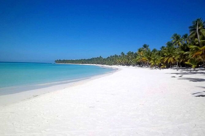 Full-Day Saona Island Tours All Inclusive - Reaching Saona Island from Punta Cana
