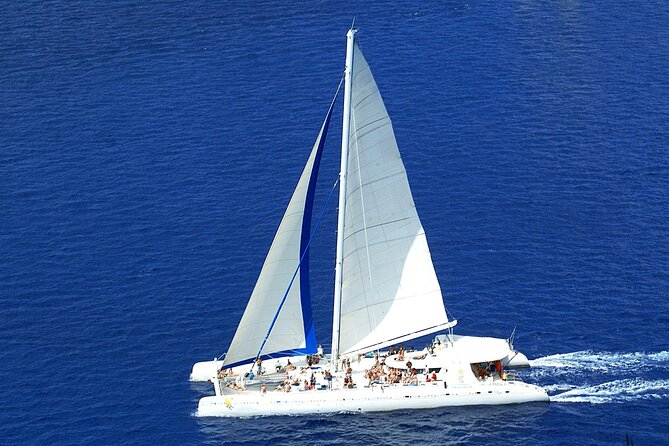 Full-Day Saona Island Tours All Inclusive - Who will enjoy this Saona trip most