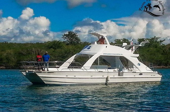 Full Day Snorkeling in Catalina Island with Transportation and Lunch - Snorkeling and underwater time