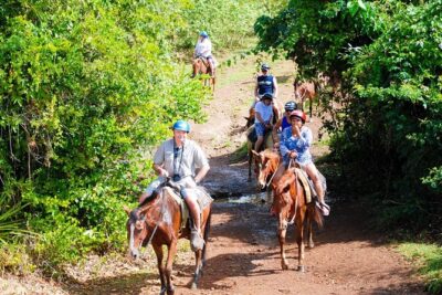 Full Day Supreme Safari Punta Cana
