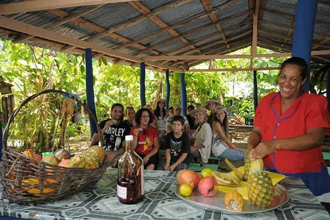 Full-Day Tour 4x4 ATV, Water Cave, and Snorkeling Cruise - ATV trails, mud, and a taste of Dominican coffee