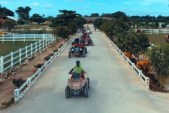 Full day tour. Buggy, lunch and Catamaran Adventure - Dominican buffet lunch at La Bandera