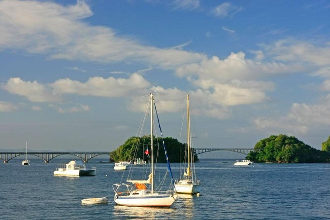 Full day tour to samana bay from punta cana - Key points to know before booking