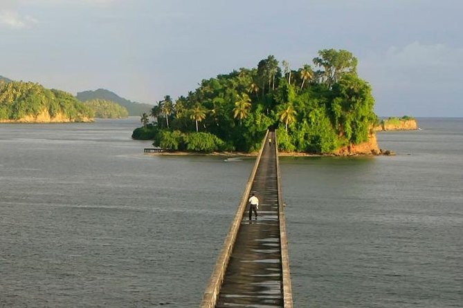 Full day tour to samana bay from punta cana - Why Samana Bay is worth the long ride