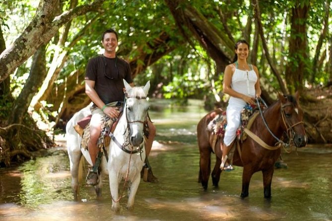 Full day tour to samana bay from punta cana - The pace, group size, and comfort level