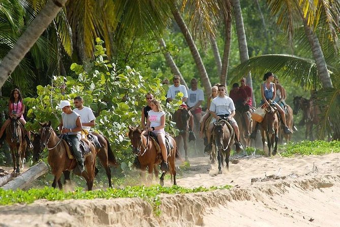 Full day tour to samana bay from punta cana - What to pack and how to prepare