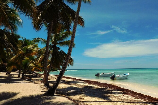 Full Day Tour to Saona Island by Catamaran and Speedboat - Why Saona Island is the main event