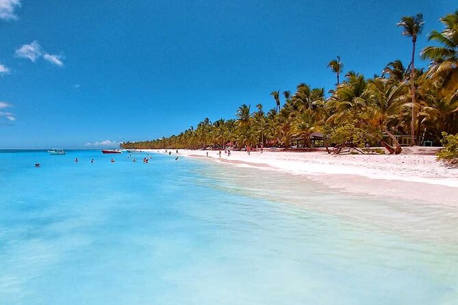 Full Day Tour to Saona Island by Catamaran and Speedboat - Four hours of beach time on Saona