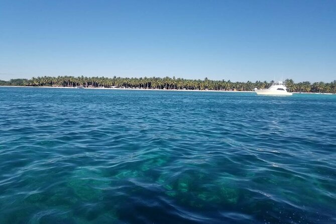 Full Day Tour to Saona Island by Catamaran and Speedboat - What $80 includes, and what it does not