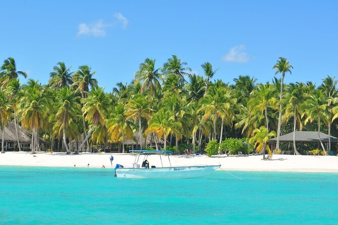 Full Day Tour to Saona Island by Catamaran and Speedboat - The people and pace of the day