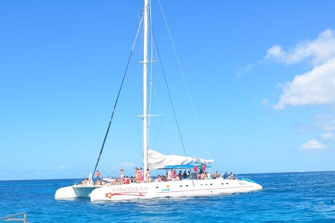 Full Day Tour to Saona Island by Catamaran and Speedboat - Who will enjoy this Saona day
