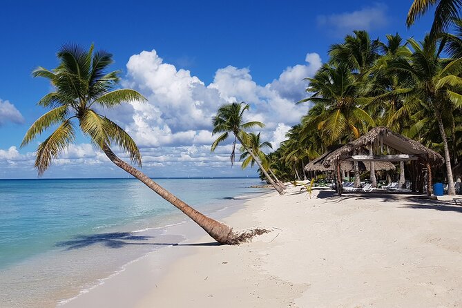 Full Day Tour to Saona Island by Catamaran and Speedboat - Getting there by catamaran or speedboat