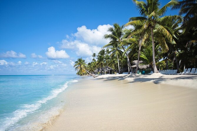 Full-Day Tour to Saona Island Sailing with Lunch and Beverages - Key points to know before booking