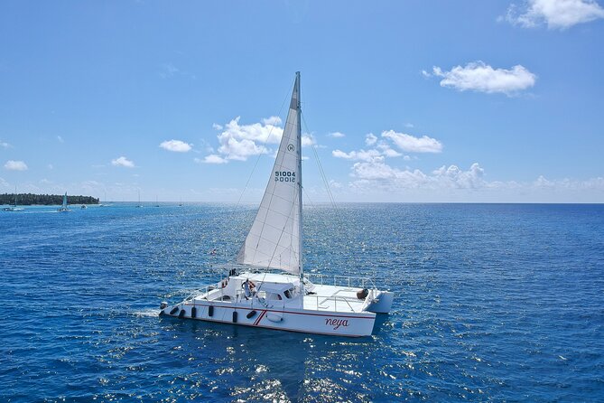 Full-Day Tour to Saona Island Sailing with Lunch and Beverages - The $60 Saona package in plain terms