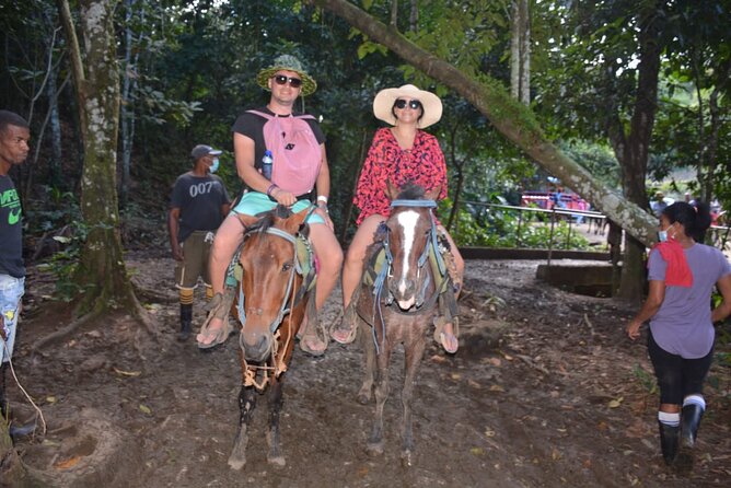 Full-Day Trip to Limon Waterfall and Bacardi Island - Lunch, snacks, and the practical value of an all-inclusive day