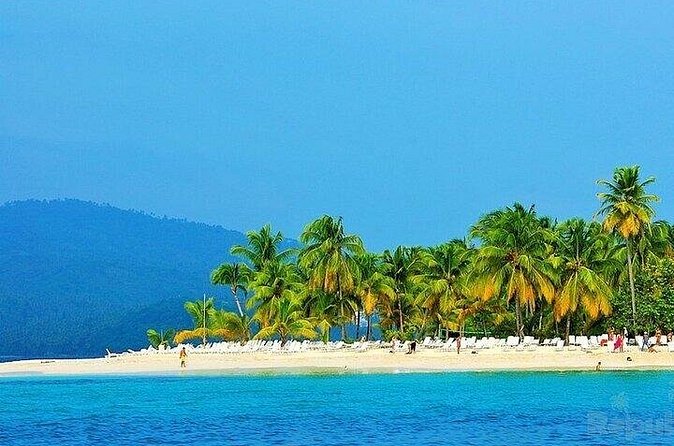 Full-day Whale watching Tour in Samana Bay from Punta Cana - The long transfer is the biggest cost in comfort