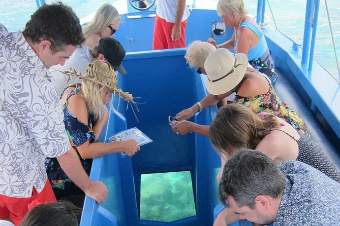 Glass Bottom Boat in Punta Cana - A glass-bottom view of Punta Cana’s reef life