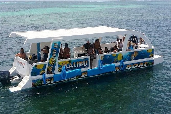 Glass Bottom Boat in Punta Cana - Seeing fish and coral without snorkeling