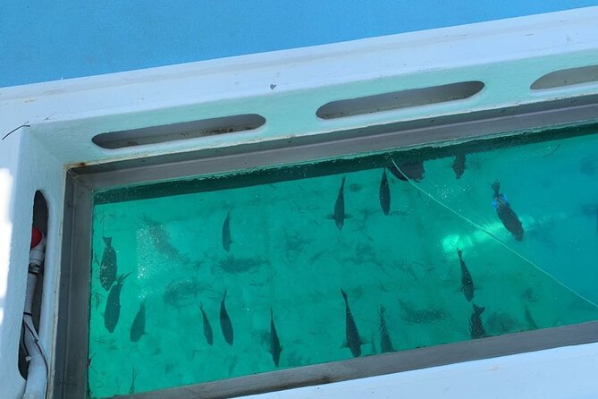 GlassBottom Catamaran with Slide - Music, Dancing, and the Mood Onboard
