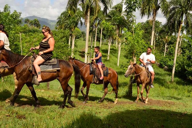 Guided Horseback Ride On The Beach With Pickup From Punta Cana - Key points to know before you book
