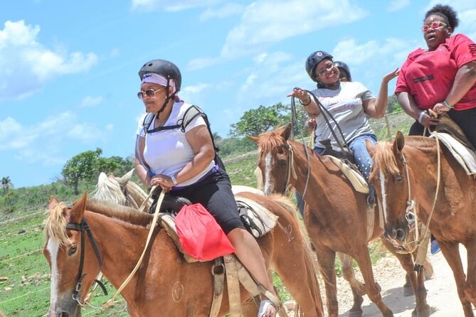 Guided Horseback Ride On The Beach With Pickup From Punta Cana - How much value do you get for $47?