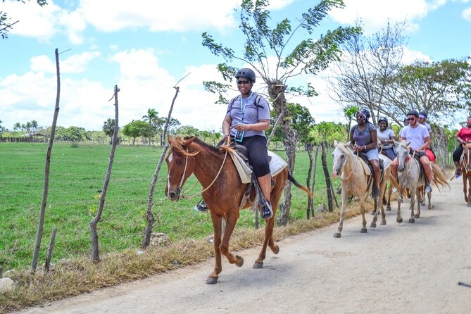 Guided Horseback Ride On The Beach With Pickup From Punta Cana - What the horses and guides are like