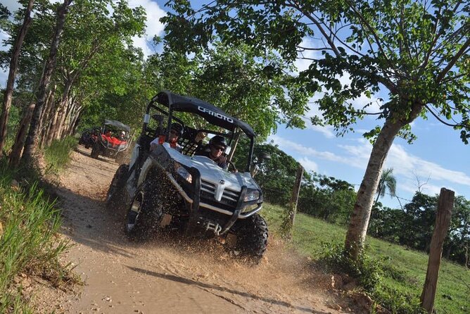 Guided Tour in Polaris (4X4) by Macao Beach, Taino Cave and Typical House - Timing, transport, and the practical tradeoffs