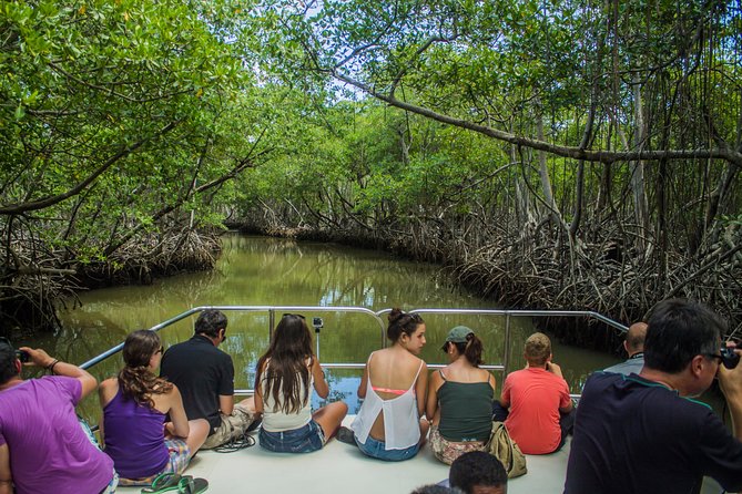 Haitises National Park with Paraiso Caño Hondo & Montaña Redonda - The road to Sabana de la Mar is part of the experience