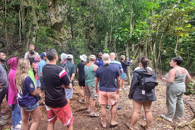 Haitises National Park with Paraiso Caño Hondo & Montaña Redonda - Paraiso Caño Hondo turns the afternoon into a meal and a swim