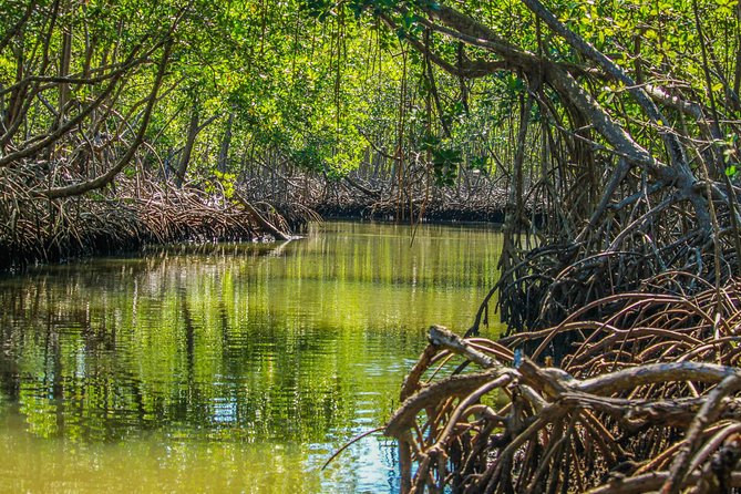 Haitises National Park with Paraiso Caño Hondo & Montaña Redonda - Montaña Redonda delivers the first big view